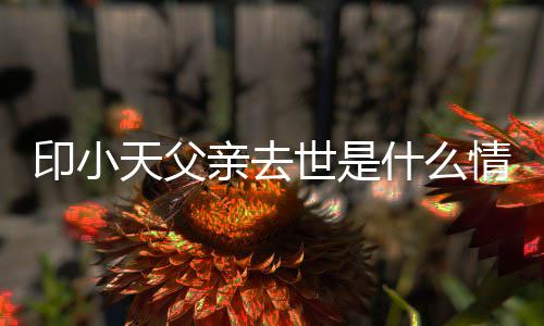 病小天得了印小 印天父父亲世是什么什么亲去情况